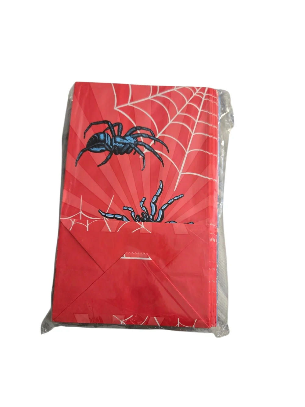 24 Pack Spider Themed Party Bags With Stickers - NWT